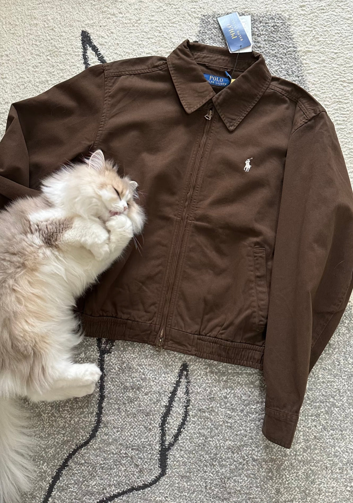 Polo JKT - Choco